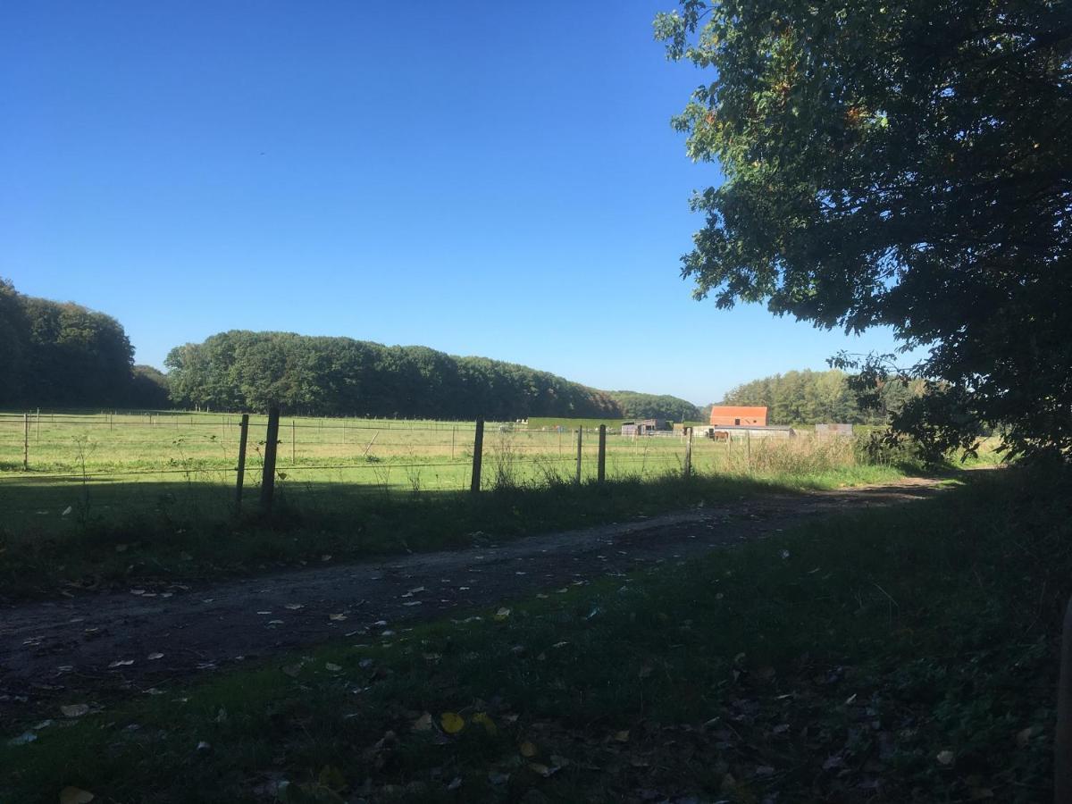 B&B Miranoza Oud-Heverlee Esterno foto