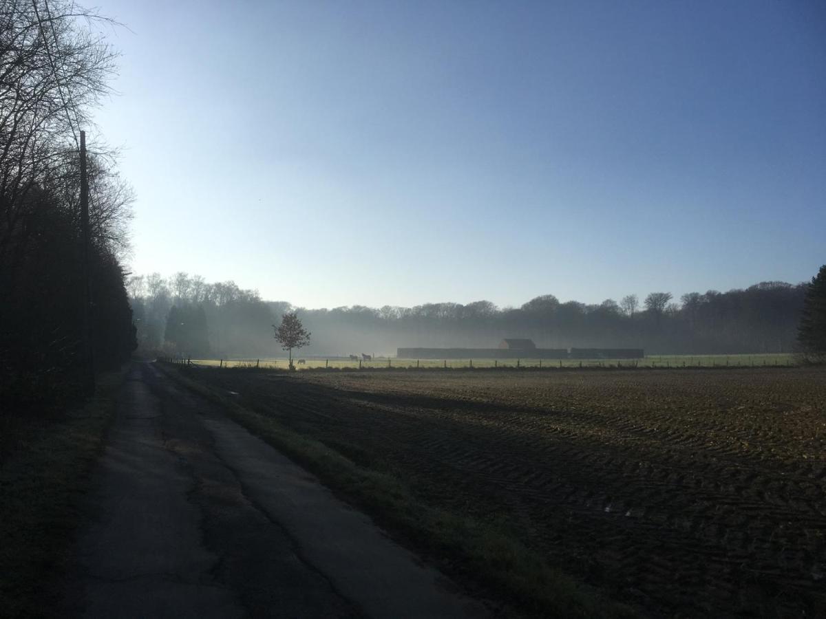 B&B Miranoza Oud-Heverlee Esterno foto