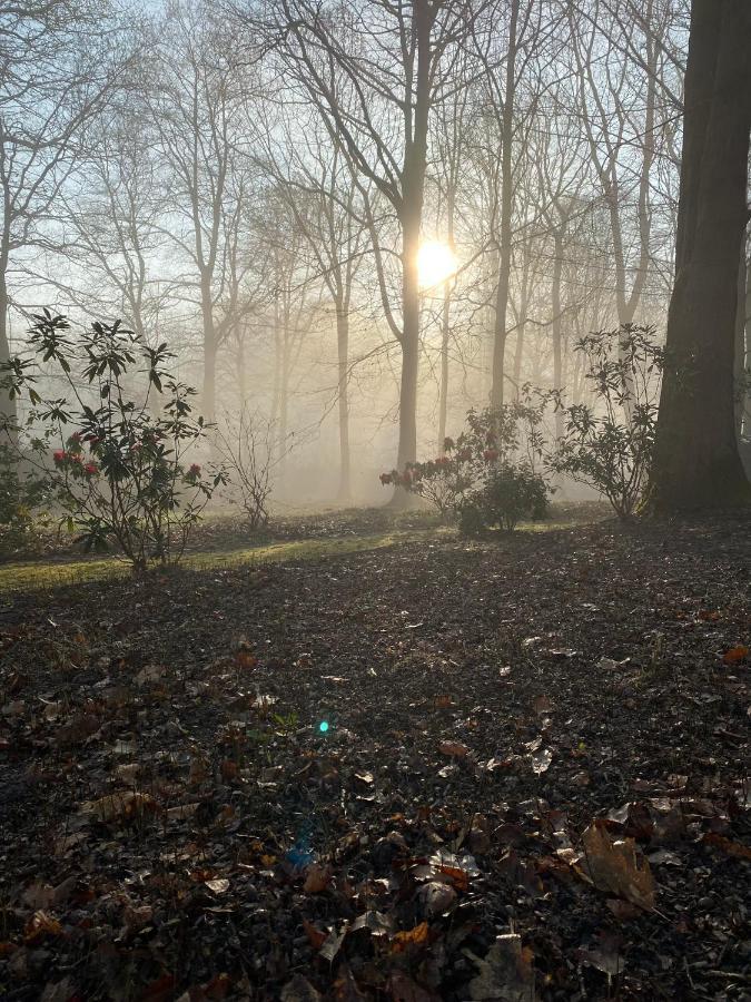B&B Miranoza Oud-Heverlee Esterno foto
